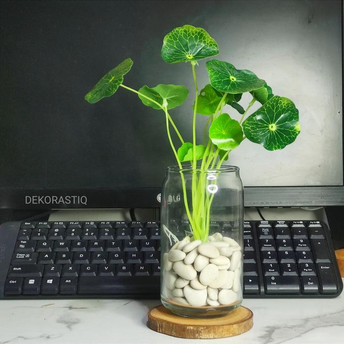 Vas Kaca Bening Tabung / Pot Kaca Tanaman Air Hidroponik Aesthetic