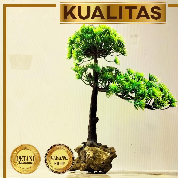 Bonsai Afrika Tanaman Plastik Aquascape Hiasan Aquarium Ikan Hias