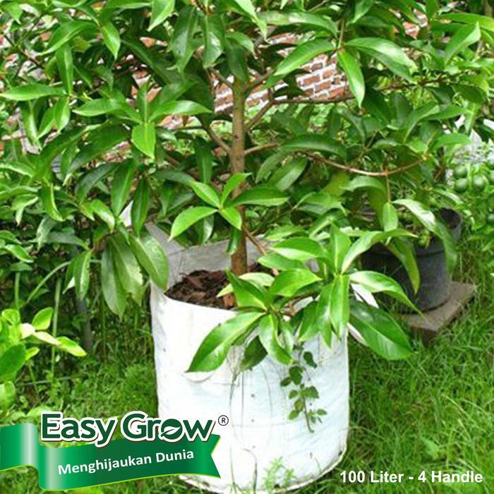 Planter Bag Easy Grow 100 Liter