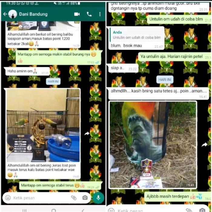 READY Oil Bening 30ml Lendir Squad - Produk Berkualitas Tinggi untuk Burung Anda