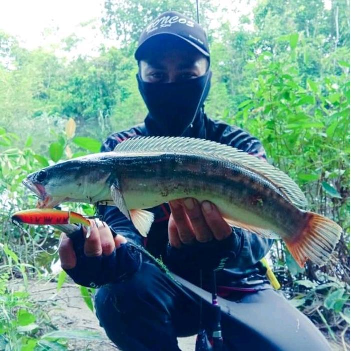 Cokershop- Lure Spesialis Gabusan & Toman