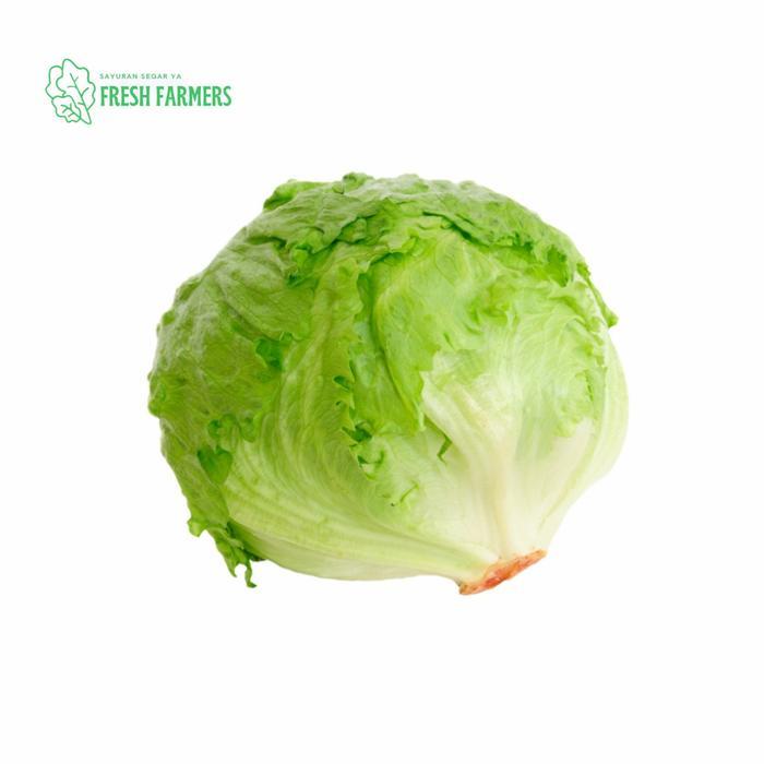 " Head Lettuce / Lettuce Kebab 1kg