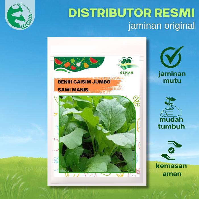 Benih Caisim Sawi Manis Jumbo 25 gram GEMAH SEED Unggul Lebat Panen Melimpah