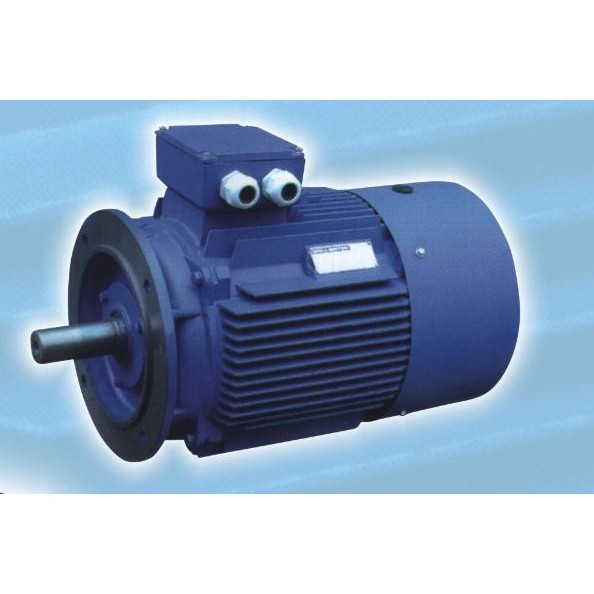 BOLOGNA 3 Phase Electric Motor 3 HP / 2,2 KW FLANGE