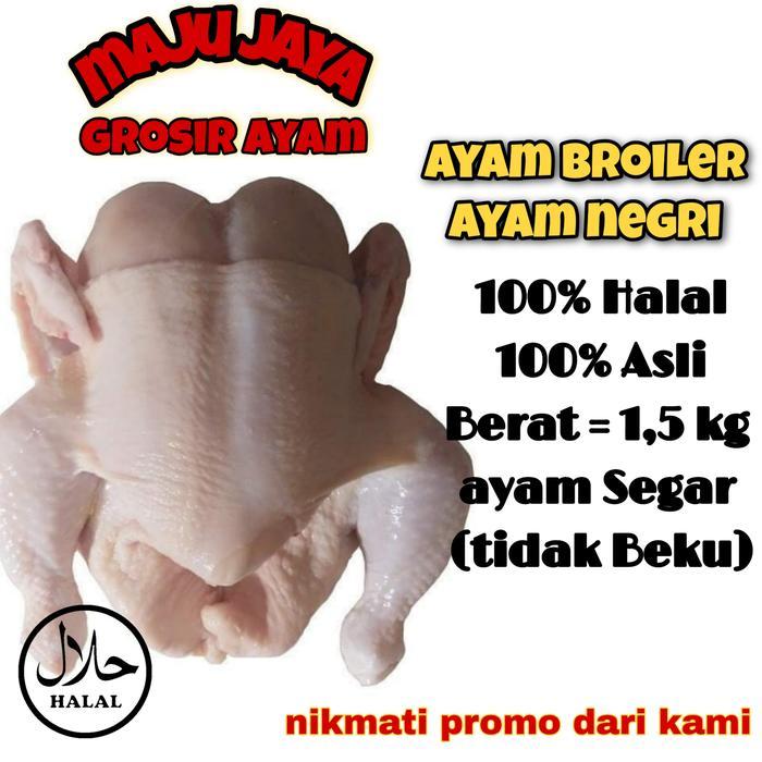 kfud- Ayam Broiler 1.5 Kg Ayam Utuh / Ayam 1 Ekor / Ayam Segar / Ayam Fresh