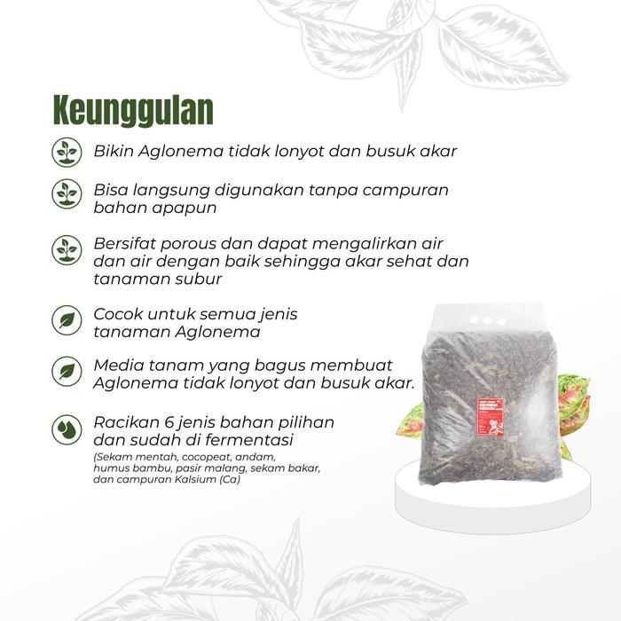 Media Tanam Aglonema Fermentasi Media Tanam Premium 2,5KG BY PLANTERIA.ID Tanah Tanaman