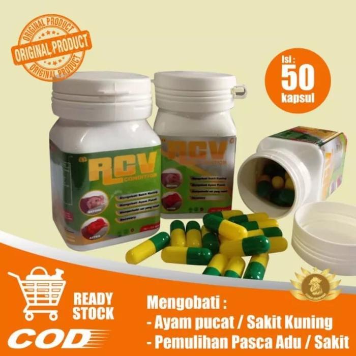 TERLARIS RCV Condition Obat Ayam Pucat & Sakit Kuning Obat Ayam Sakit Kuning Herbal + Protein Nabati