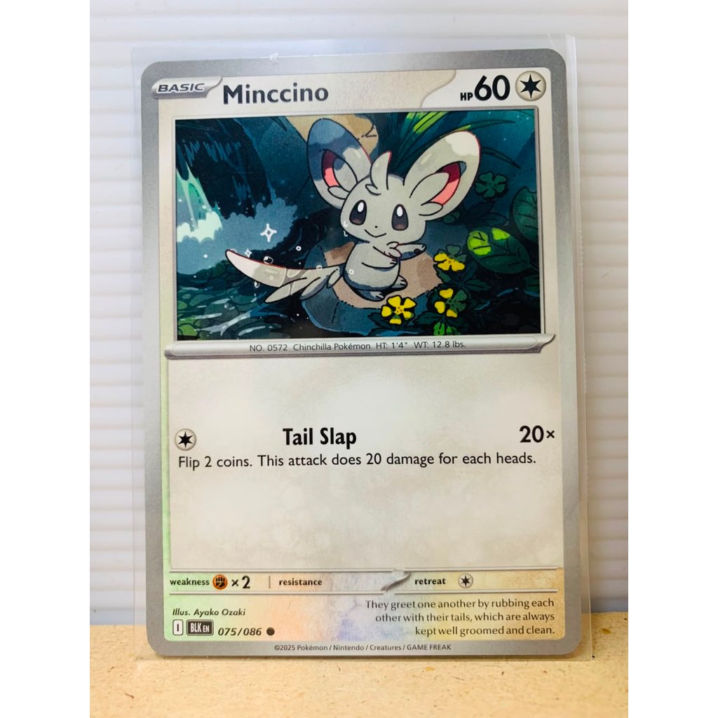 Minccino #75 Pokemon Black Bolt