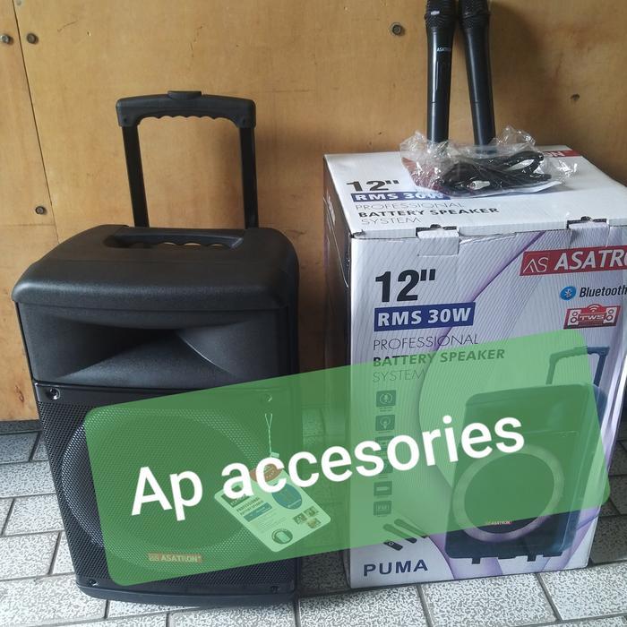 Speaker portable 12 inch Asatron PUMA Speaker bluetooth Meeting