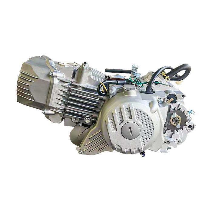 Motorcycle Engine 190Cc Oil-Cooled Zongshen W190Cc Engine Zs1P62Yml-2 Engine Assembly Daytona 190Cc