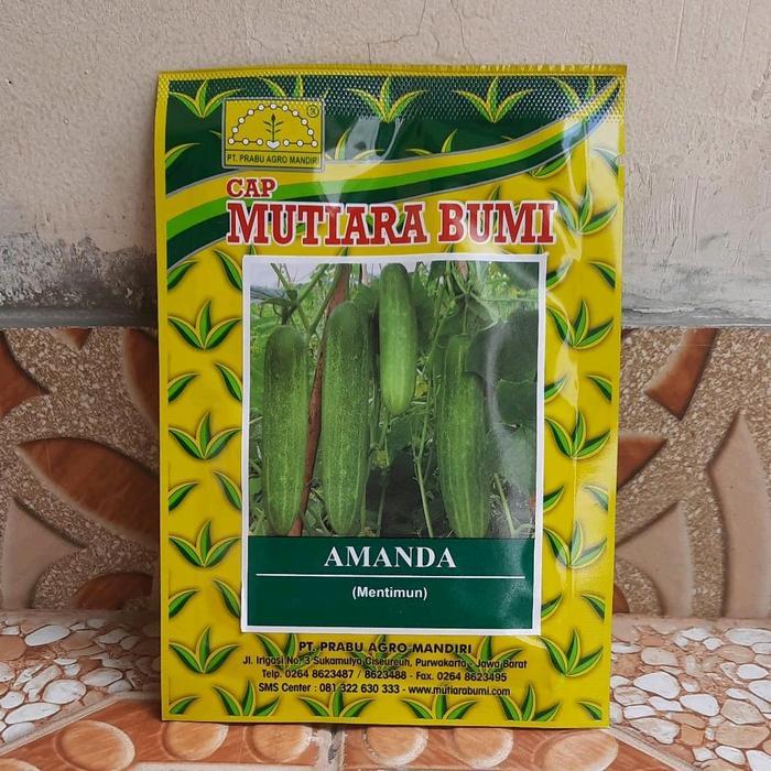 Tanamsegar- Benih Timun Hijau Op Amanda 20 Gram Bibit Timun Hijau Mutiara Bumi