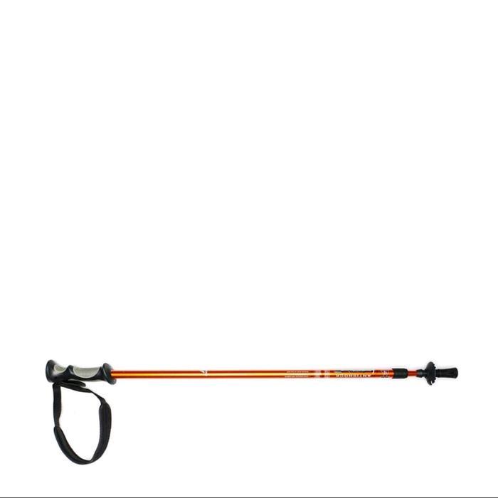 Eiger Tracking Pole 2 SectionY - Orange