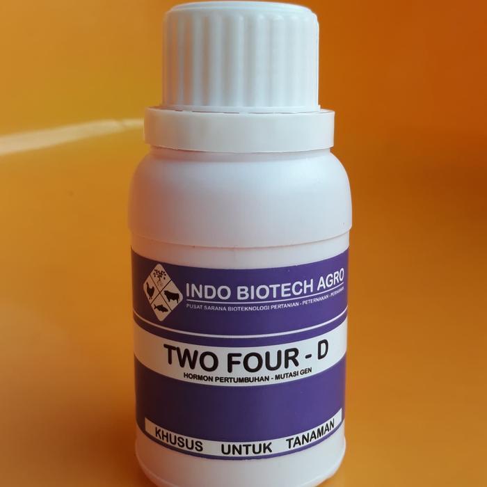 Hormon 2,4 D