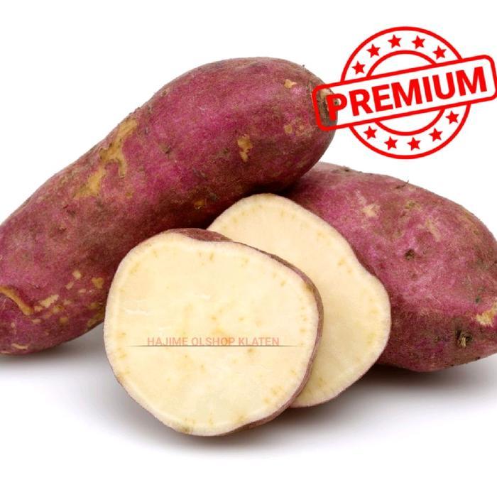 UBI JEPANG atau ubi MUKID MENTAH 1KG / ubi jalar jepang original berkualitas Ubi Herbal
