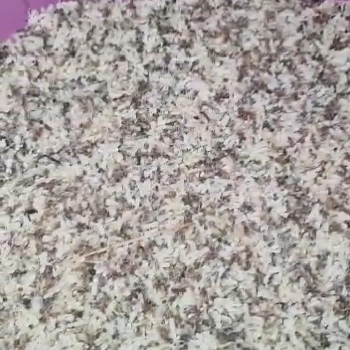 Kroto /Kroto Berat 1Kg Pakan Burung