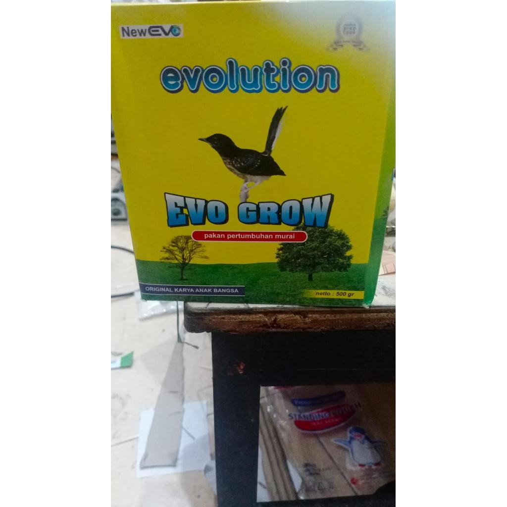 VOER EVOLUTION VOER EVO GROW PAKAN TROTOLAN MURAI BATU TERBAIK
