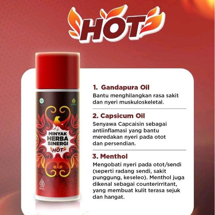 HNI HPAI - MINYAK HERBA SINERGI HOT MHS HOT MHS VARIAN HOT HPAI