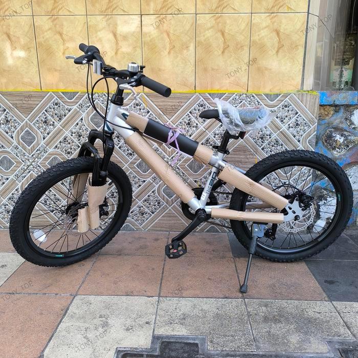 Sepeda Mtb 20 Polygon Maze