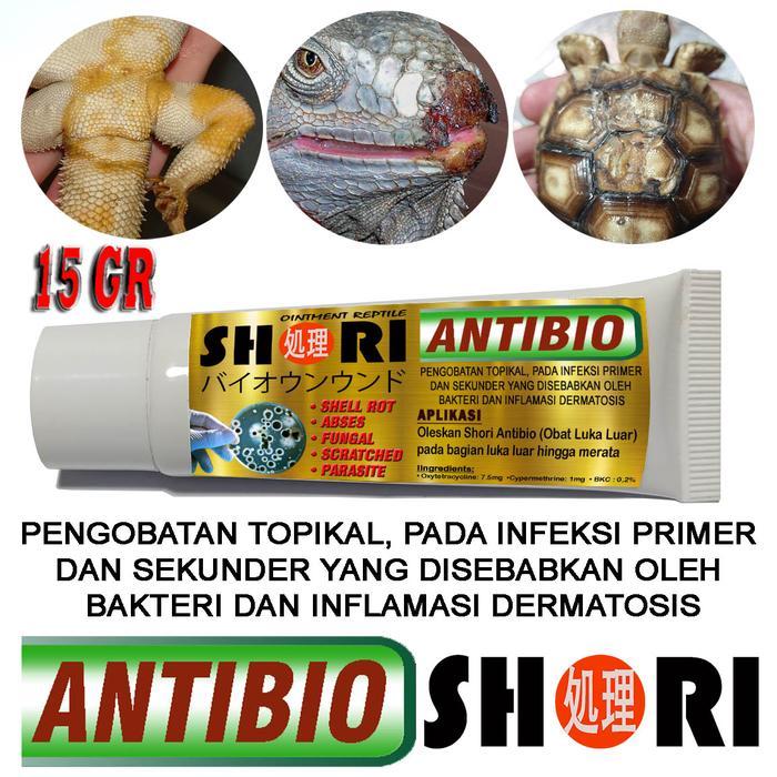 SALE SHORI ANTIBIOTIK SALEP OBAT LUKA ABSES INFEKSI BAKTERI REPTILE TORTO