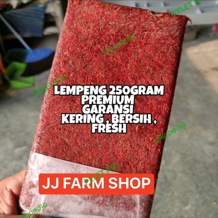 Cacing Beku Lempeng Segar Merah Jamin Kualitas Ok 1Kg 100% Cacing Terbaru