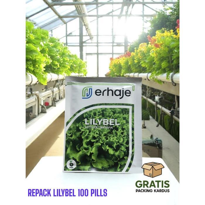 [REPACK-100 Pills] Benih Selada LILYBEL Benih Lettuce Batavia By Bejo Seeds Lilybel Repack 100 pills