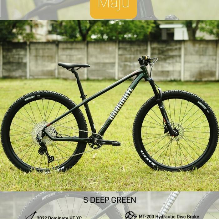 Sepeda MTB 29 inch Dominate AXC-2 ELITE 12 speed hydraulic