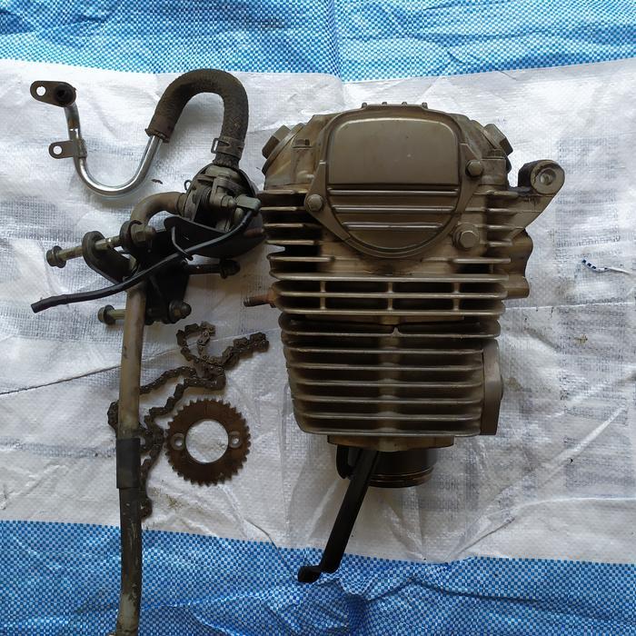 Blok Head Kop Tiger Revo
