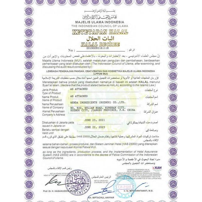 M100Ft (Pack 1Kg) - Pengering Bakso Pengenyal Siomay & Dimsum