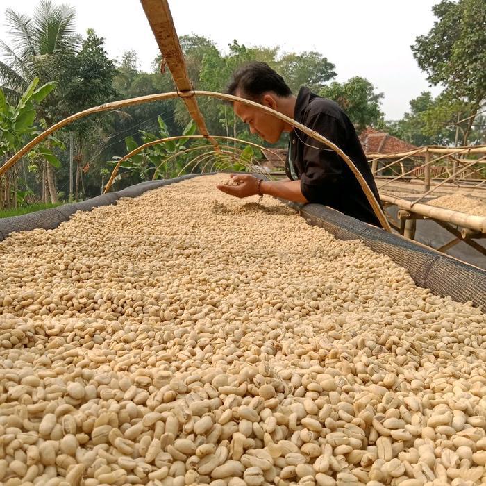 Zeny Store- Biji Kopi Green Bean Robusta Garut Mentah Coffee