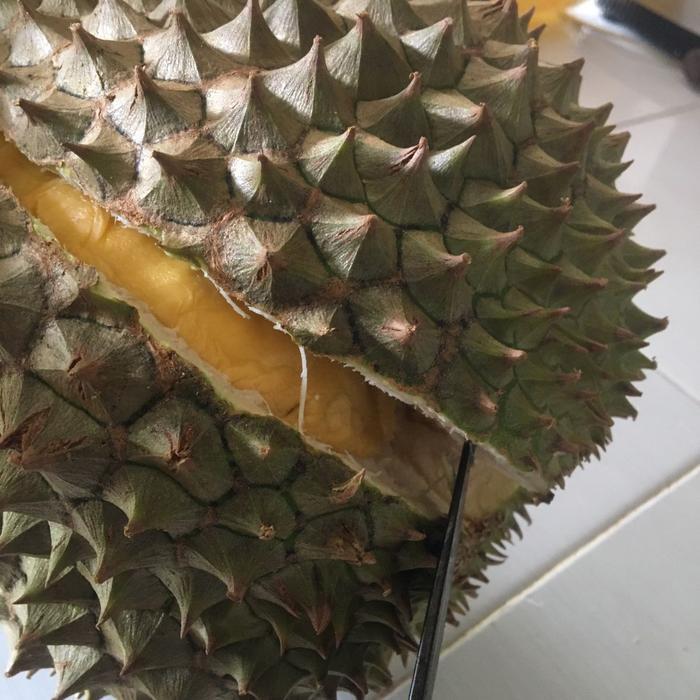 durian Musangking utuh malaysia (berikut kulit) garansi