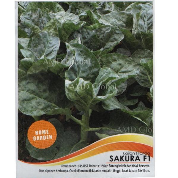 Benih Kailan Sakura F1 New Day Seed Isi 2 Gram