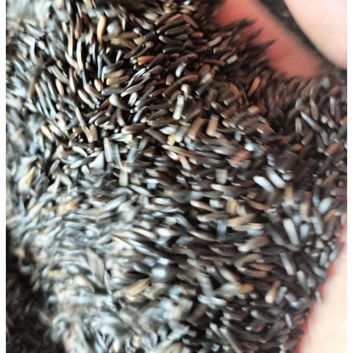 Niger Seed Pakan Burung Kenari Falk Campuran Pakan Burung Pemakan Bijian 1Kg -Gratisongkir
