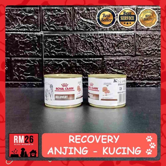 Cat Food Royal Canin Recovery
