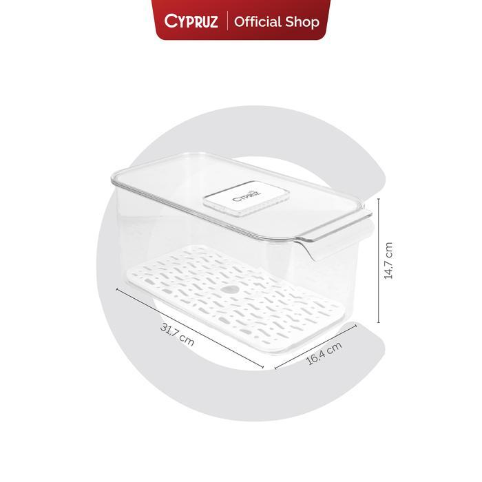 [Do Not Order] Free Gift Payday Sale - Cypruz Storage Bin with Drain Board - Medium