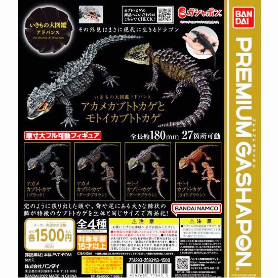 REDAY Terlaris Premium gashapon red eye lizard crocodile skink kadal dangomushi gacha Promo Murah