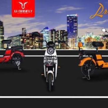 Sepeda Listrik Uwinfly DF6 DragonFly 6 DF-6 dragon fly u winfly DF D F - Putih