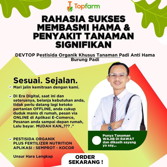 Obat Hama Burung Padi Sawah - Obat Semprot Hama Padi - Pestisida Devtop Khusus Tanaman Padi Sawah -