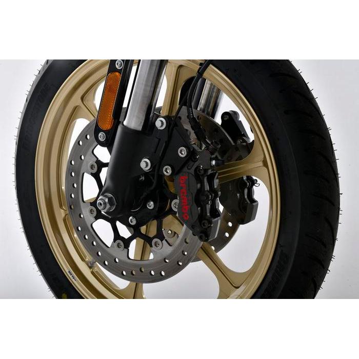 Bracket Kaliper Plot Harley Davidson Softail Fatbob