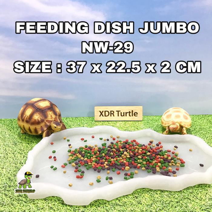 Feeding Dish Nw-29 Tempat Makan Torto Reptil Jumbo Sulcata Aldabra #Gratisongkir