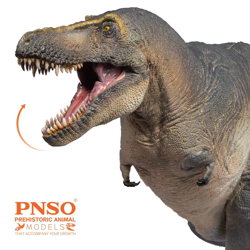 PNSO Prehistoric Dinosaur Models:51 Chuanzi The Tarbosaurus