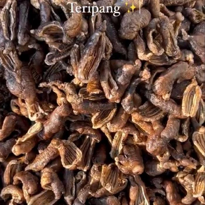 Kerupuk Tripang Asli Renyah 200gr-250gr Laut Snacks Krupuk Kering