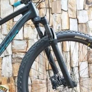 Fork Rockshox Recon 29 er T100