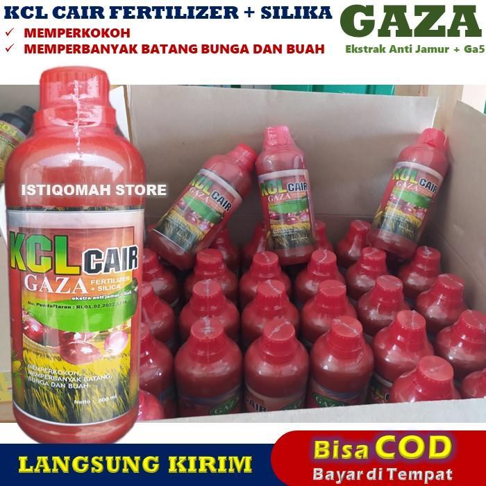 Raflezia Pupuk Padi Sawah Kcl Gaza 500Ml Pupuk Padi Pelebat Buah - Pupuk Padi Cair Pengganti Urea -