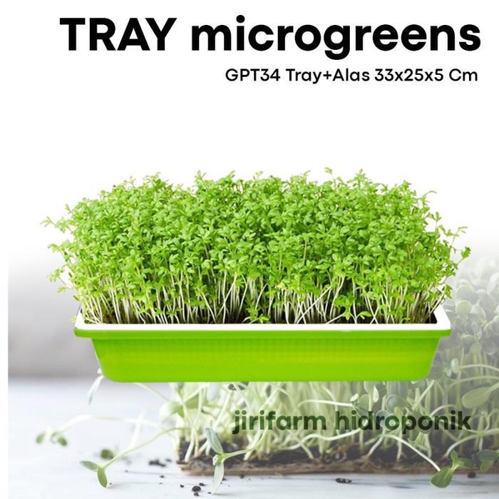 Jirifarm - Microgreen Sprouting Tray With Base - Tray Semai Microgreen Dengan Alas