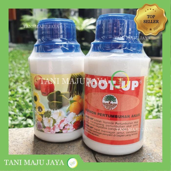Pupuk Zpt Akar Root Up 100 Gram Asli