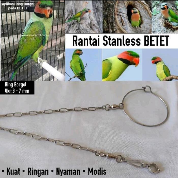 Rantai Falk Cockatiel Bahan Stainless Steel