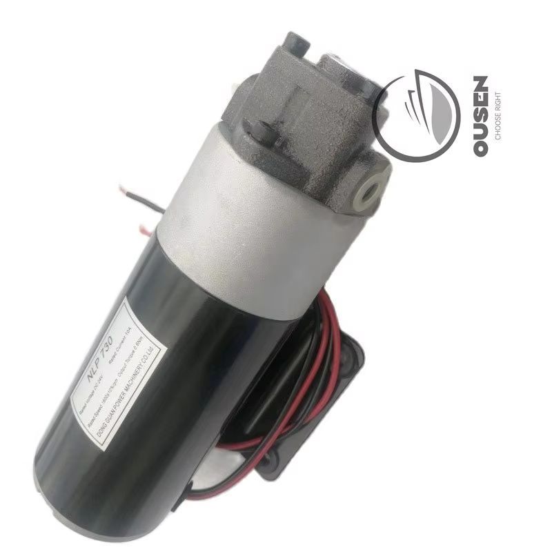 AC 220V 12V 24V DC Diesel Oil Pump Electric Hydraulic Pump Small DC Oil Pump Micro Gear Pump Gear