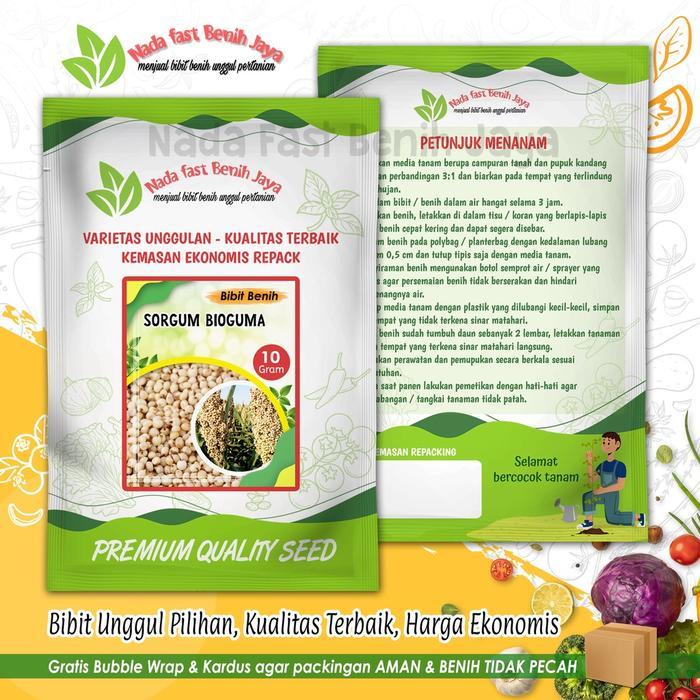 Benih Sorgum Manis Batang Nira 10 Gram untuk Pakan Ternak dan Tanaman Daun