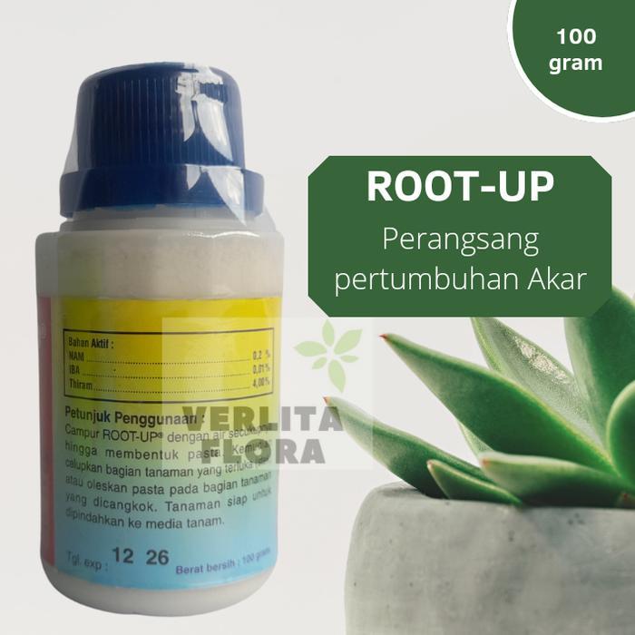 Zpt / Pertumbuhan Akar Root Up