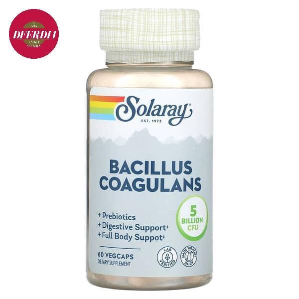 Original Solaray Bacillus Coagulans 2.5 Billion 60 Veg Caps